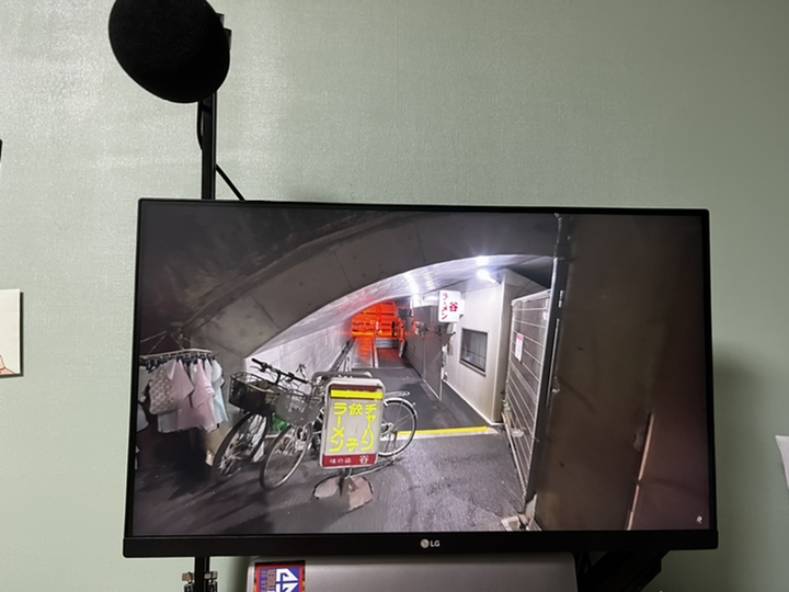 전자 60 QHD C모니터