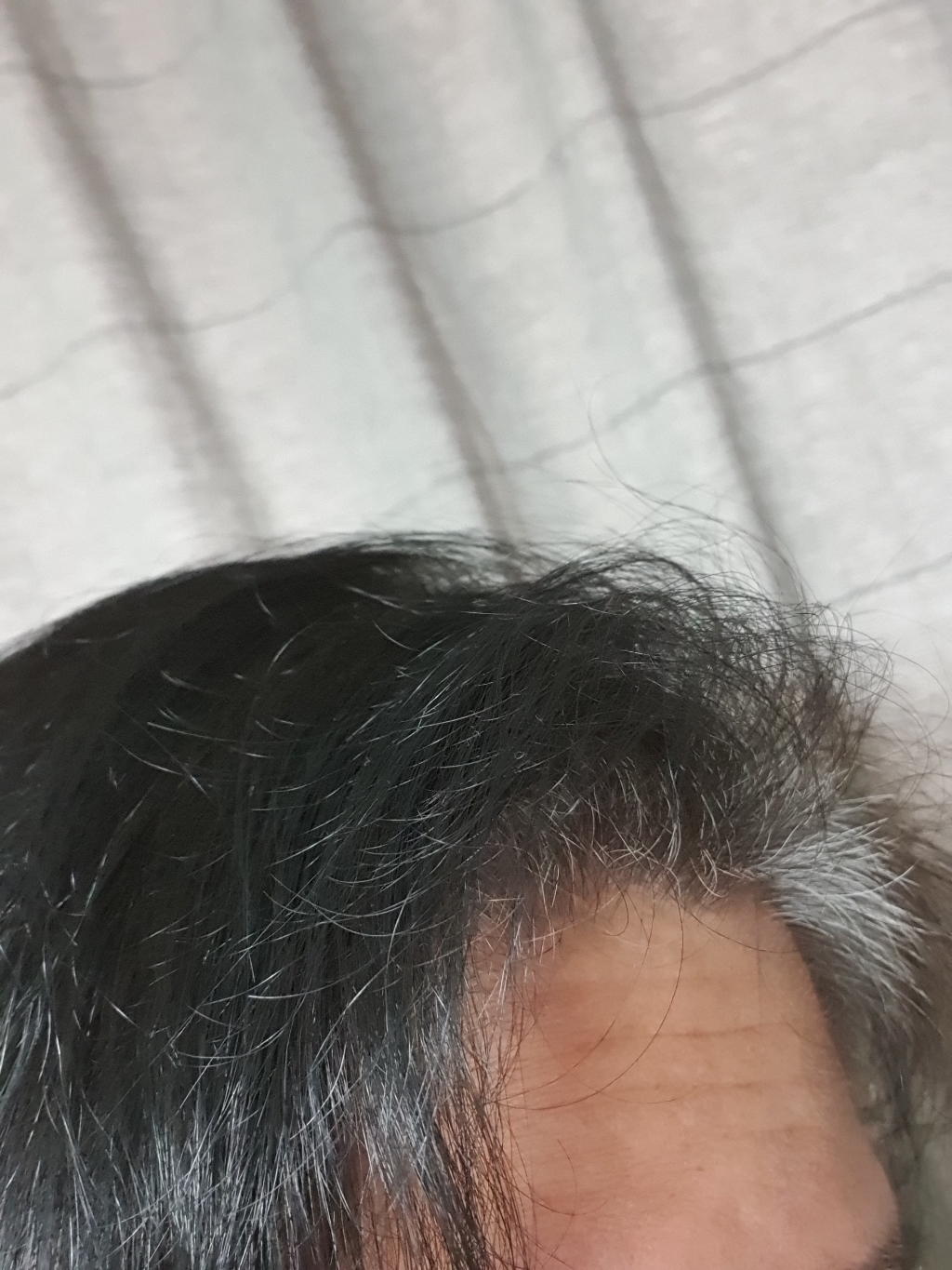 센시멘드 어성초 비건 탈모샴푸