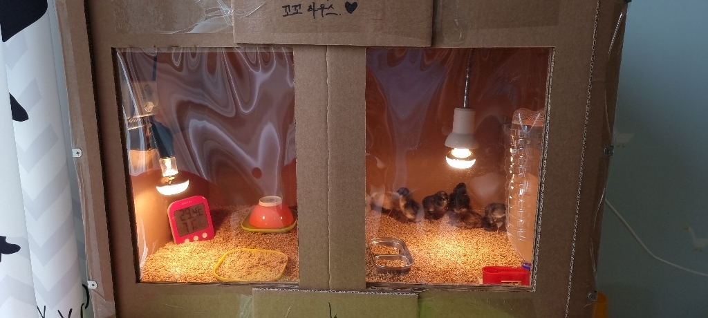 늘푸른농원 열등전구
