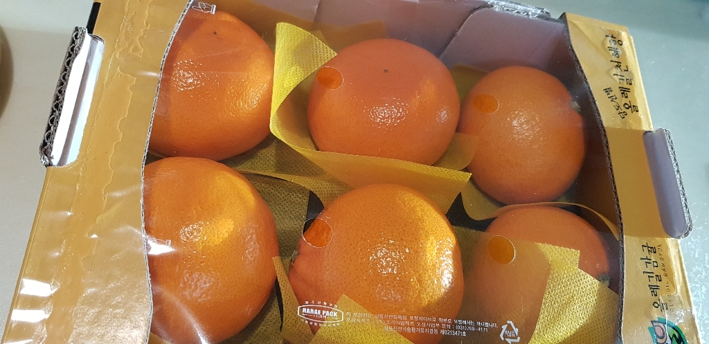 올레길 A 인증 당도선별 천혜향