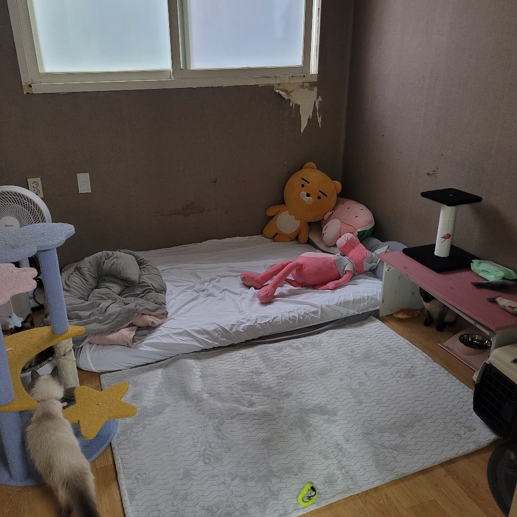 베드넷퍼니쳐 10존 3단접이식 에어폼 매트리스 네로 삼중직 커버