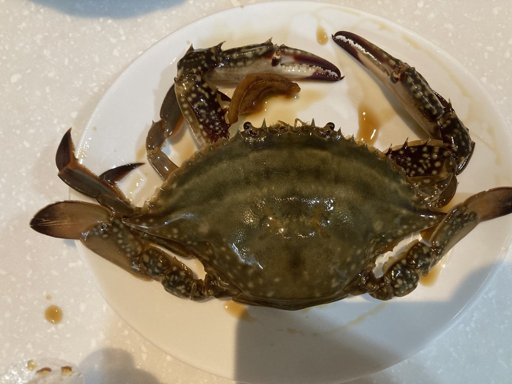 까칠한 박여사 연평도 암 꽃게 간장게장