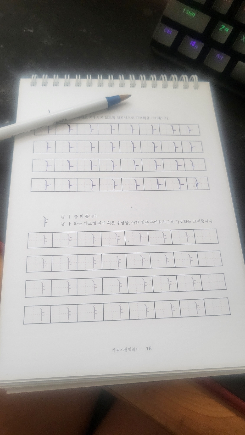 글씨를 수놓다 수놓듯 써 내리는 손글씨 워크북