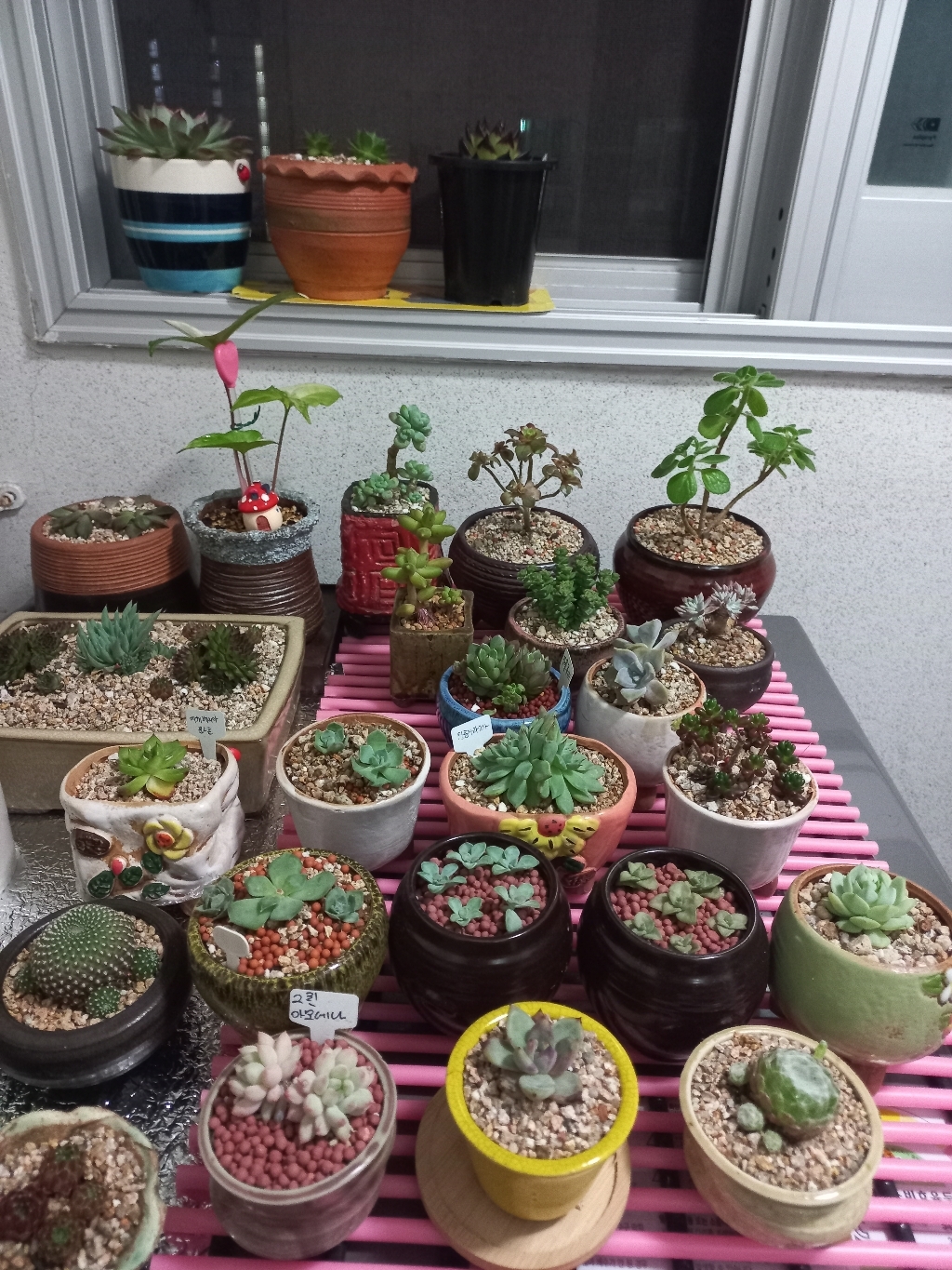산야초 대용량 대포장 난석 배수층 여과재 리뷰 후기