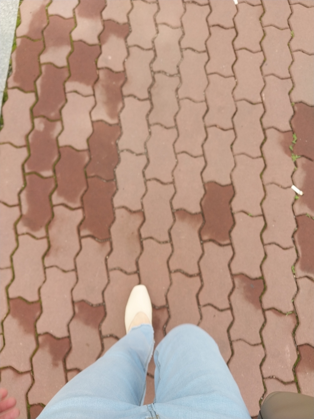 잠비 여성용 모건 브이컷 블로퍼