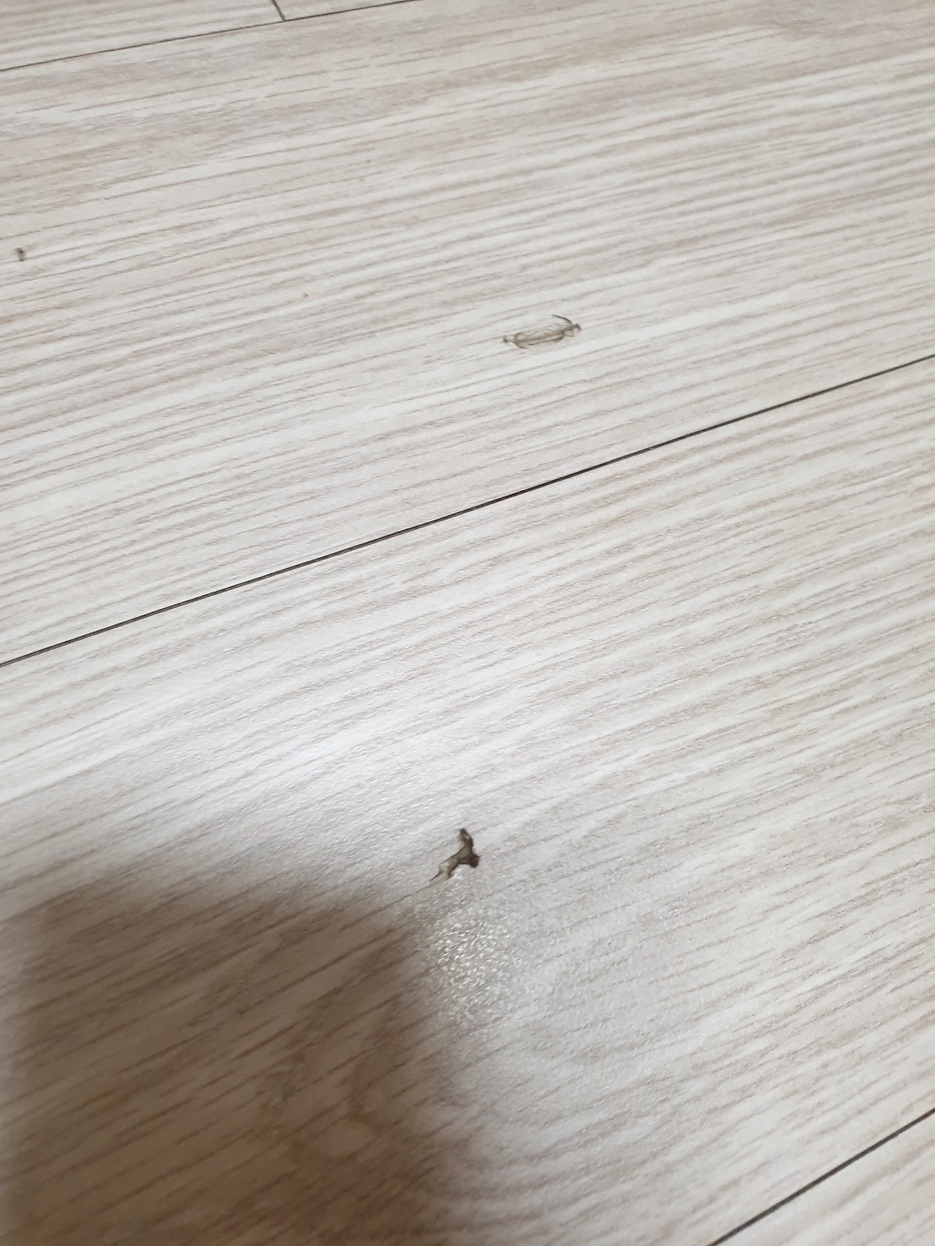 깔끔대장 가려보게 스크래치 페인트