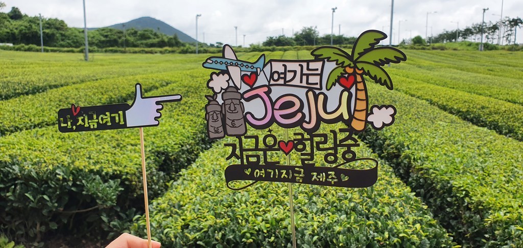 제주도 여행 2종세트 가족 생일 휴양지 기념일 파티