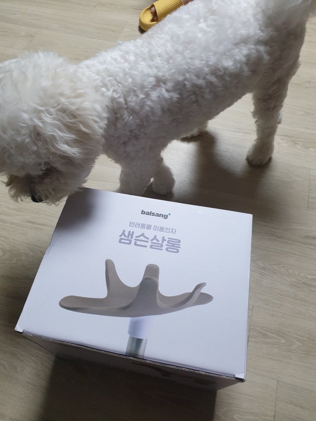 발상 반려동물 샘슨살롱 미용의자