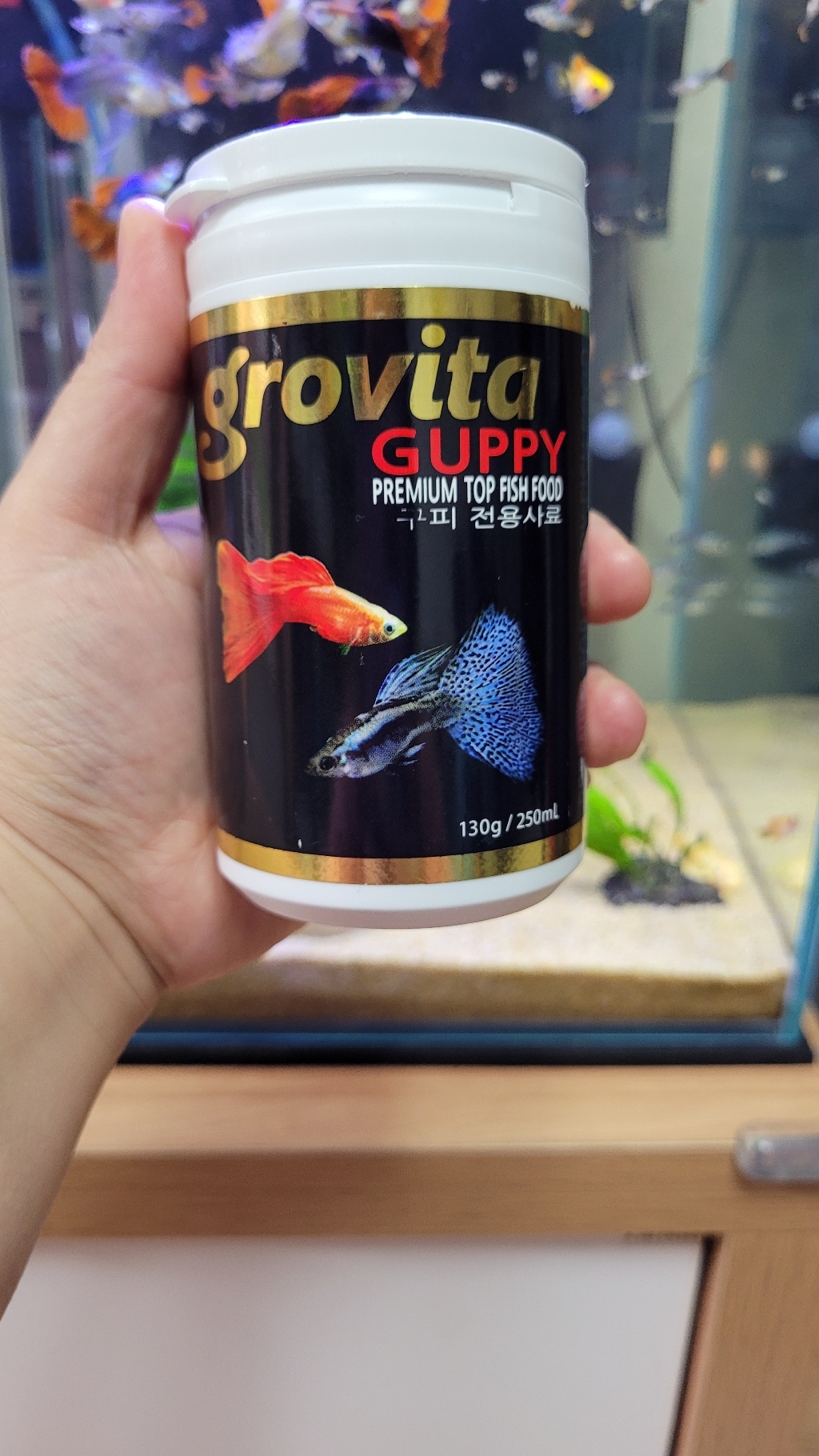 그로비타 구피 사료
