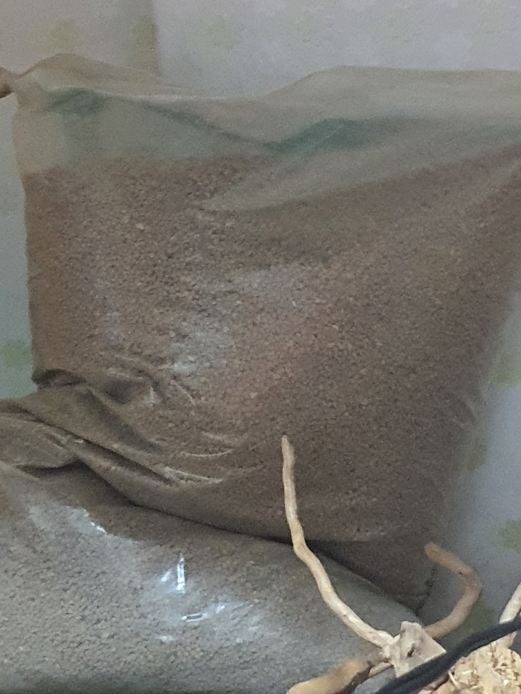 마이플랜트 적옥토