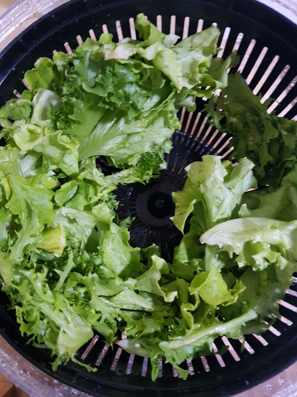 베르덴 스핀 야채탈수기