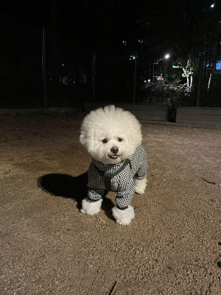퍼피엔젤 여아용 AAIOT 체크 강아지 우비