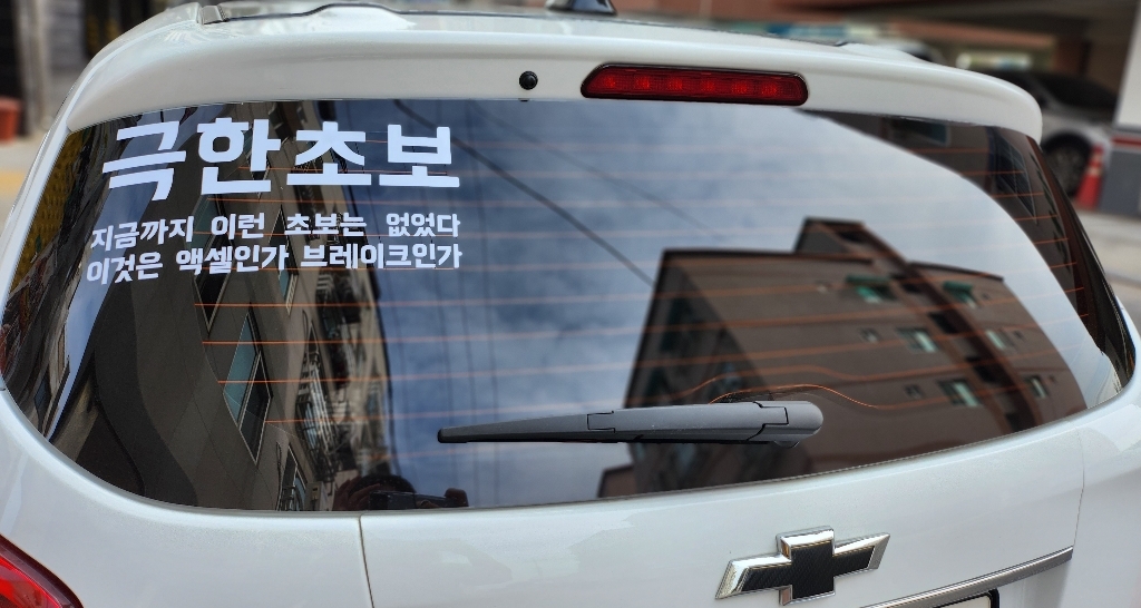 초보운전 차량용 스티커 극한초보