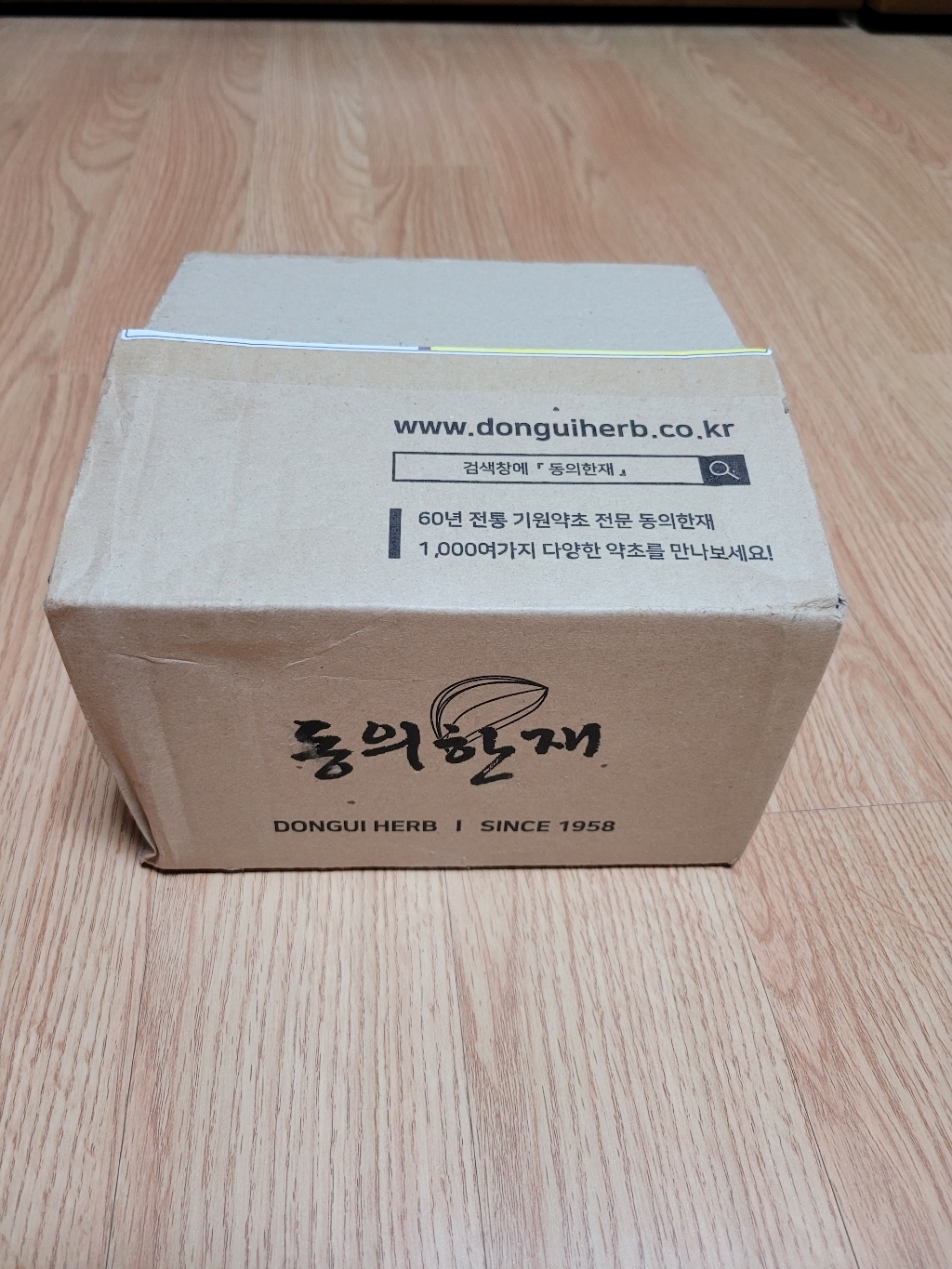 동의한재 최상품 자연산 제주도 햇 까마귀쪽나무열매 까마귀쪽열매