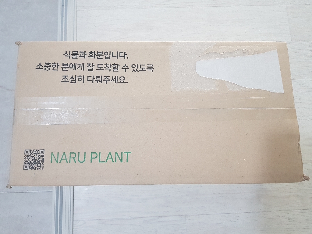 나루플랜트 수경재배식물 건강한 21종 식물 모음