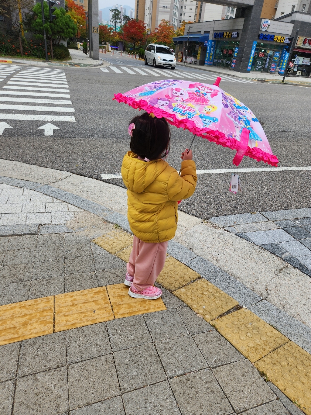 서울트레이딩 아동용 티니핑 하트 50 투명 우산 22U-CT02