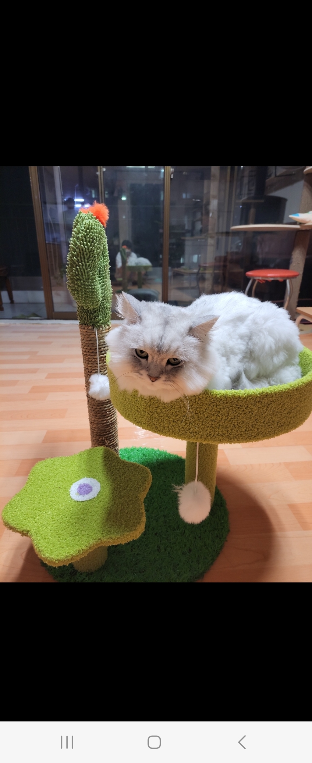 ETCA 고양이 기둥형 3단 선인장 스크래쳐 캣타워 고양이장난감