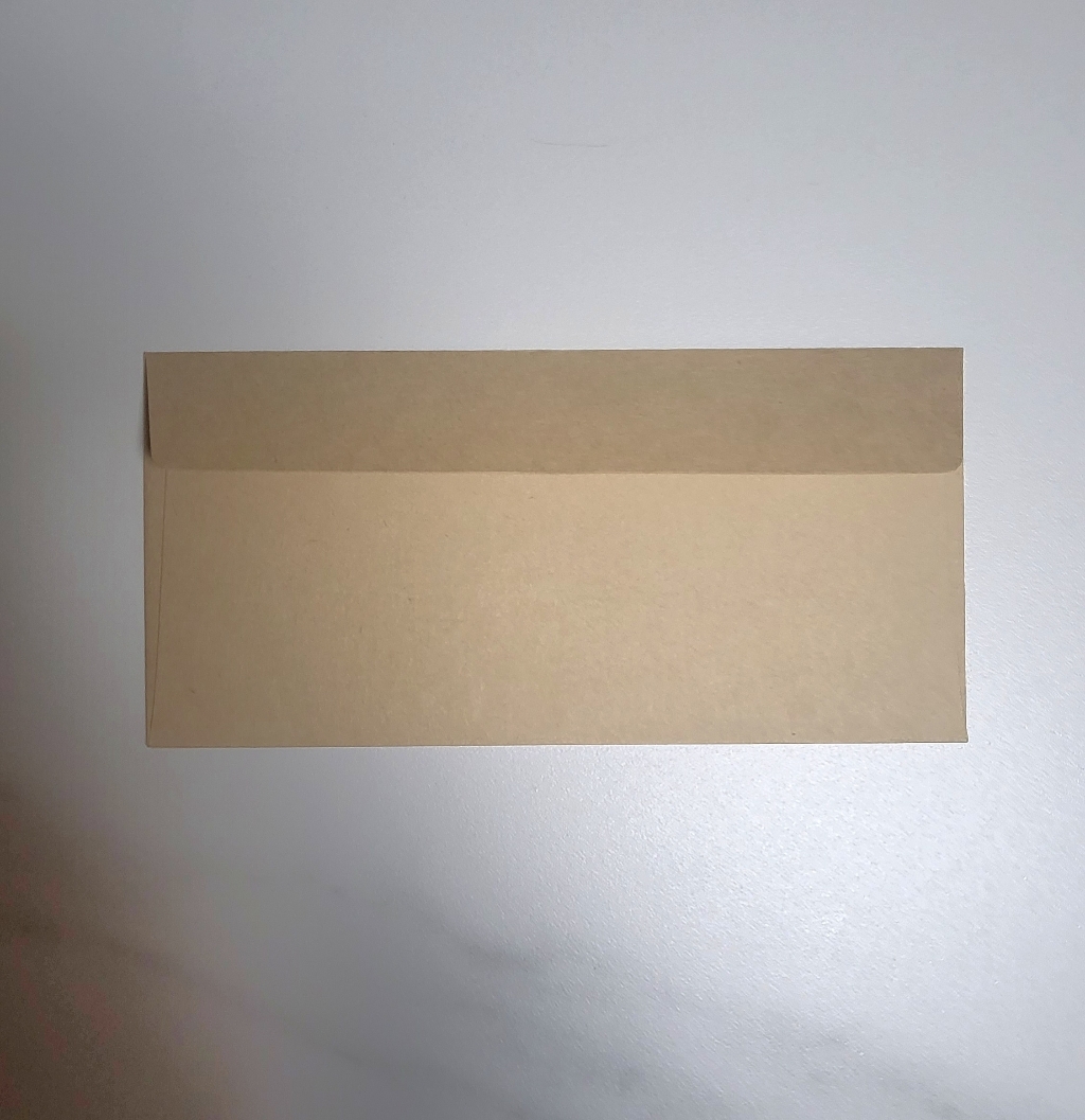단단한 크라프트지 종이 봉투 175 x 85 mm, 50개