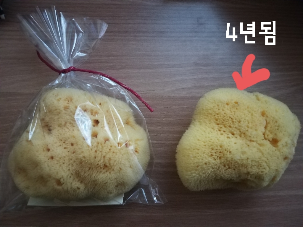 뷰티풀스킨 세안용 천연해면 스펀지 라지