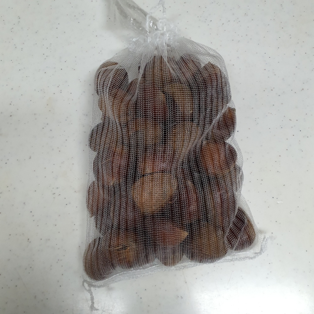 칼집밤 공주 리뷰 후기