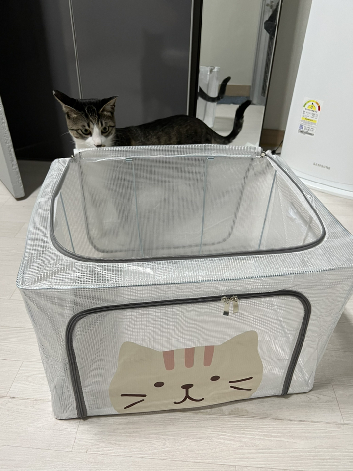 닌샵 고양이 정리함