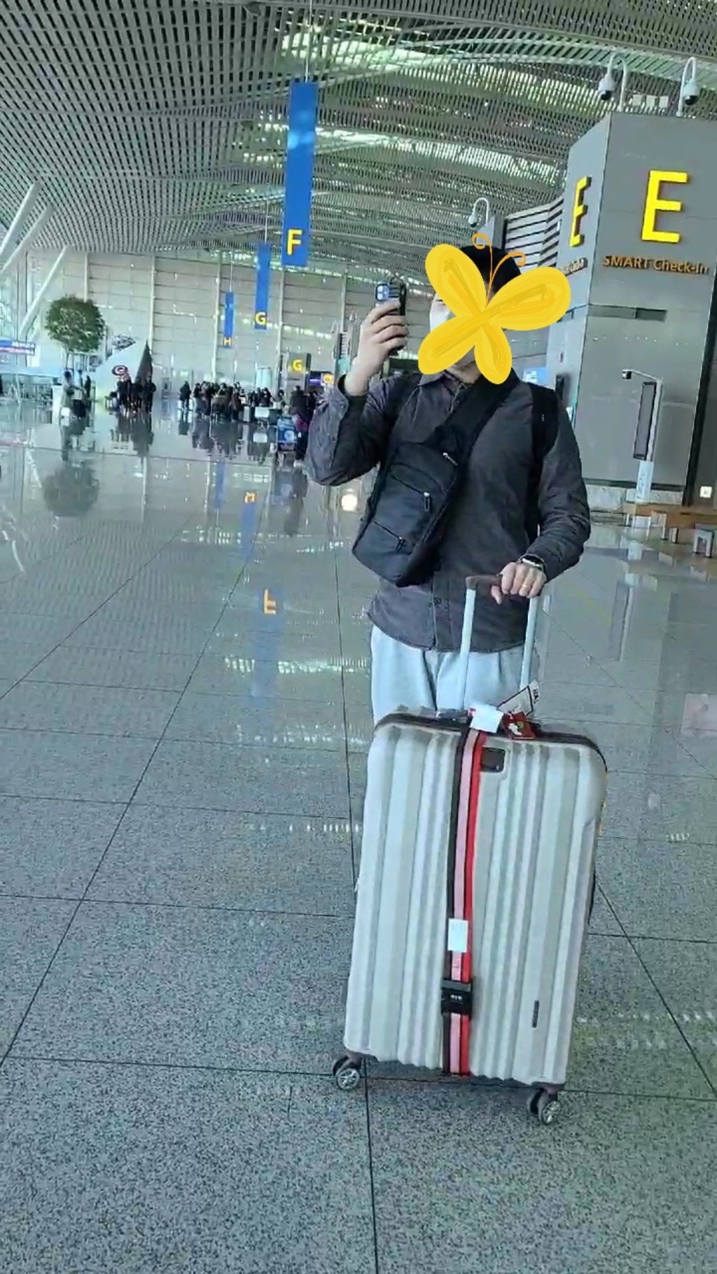 브라이튼 트로이 캐리어