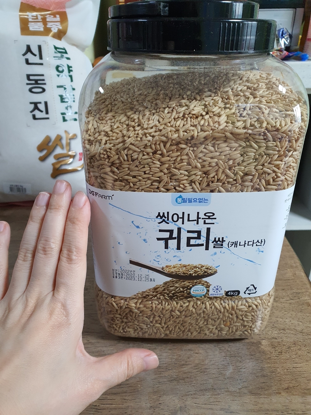 씻어나온 귀리쌀