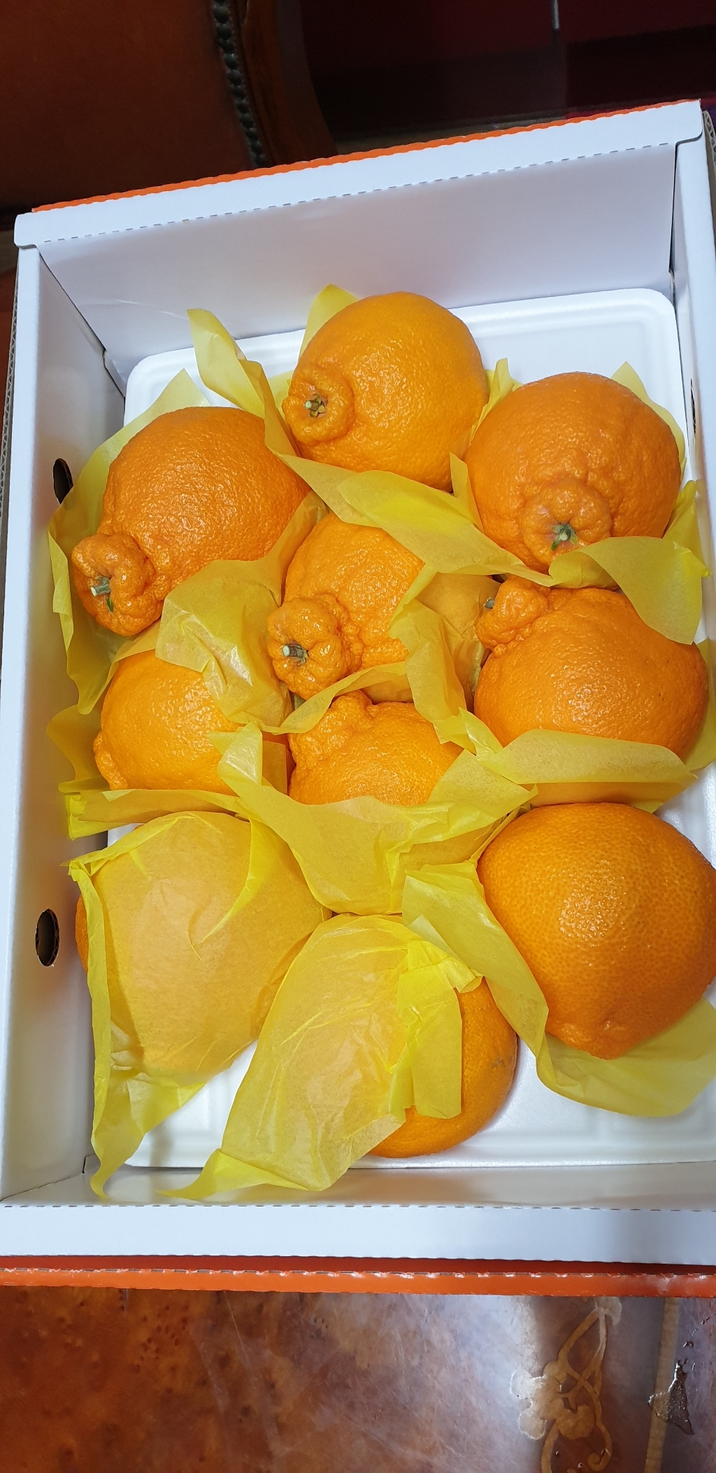 곰곰농협 A인증 한라봉