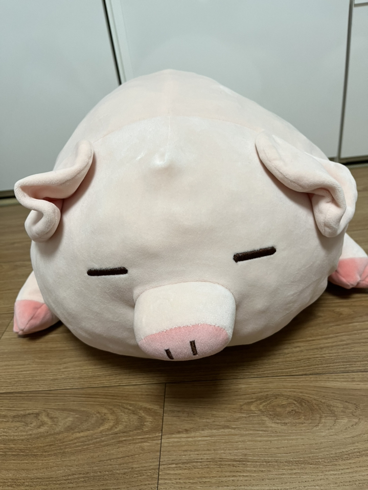네이처타임즈 안고자는 실눈 돼지 인형