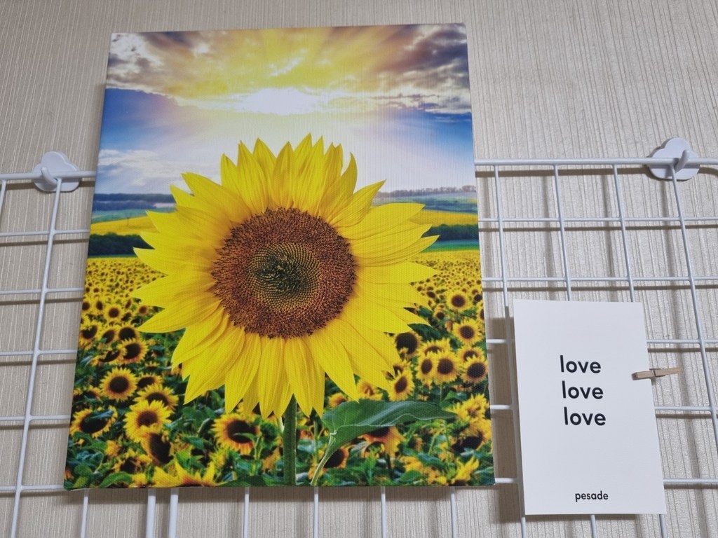 세잔느화실 홈데코 NEW 해바라기 그림 캔버스액자 골드 알루미늄 액자 거실 승진선물 집들이선물