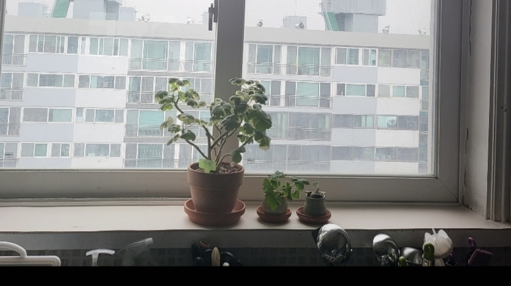 데얼스 프로 데스크매트 리뷰 후기