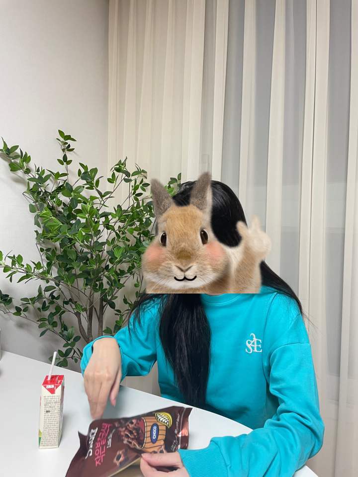 순이들 여성 봄 자수로고 컬러 조거 트레이닝세트