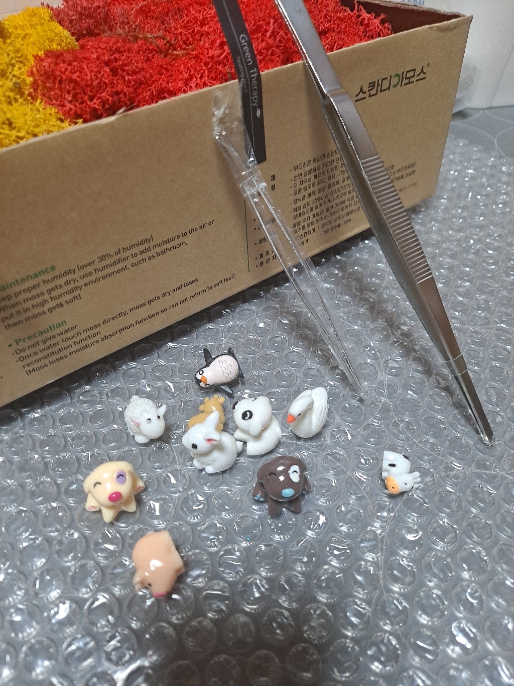 공기정화 스칸디아 모스 천연이끼 DIY 2가지 색상 혼합 가능 BEST 14coor