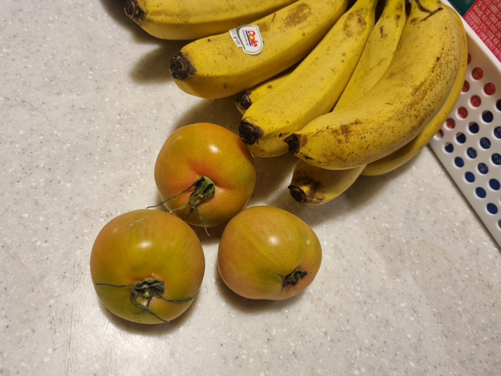 먹사부 정품 부산 대저토마토 짭짤이 농장직송 소과 중과 대과 2 못난이 로얄 특품 짭짜리