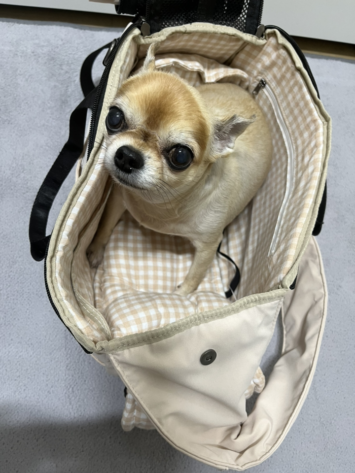 펫츠랜드 반려동물 스너그 슬링백 이너쿠션