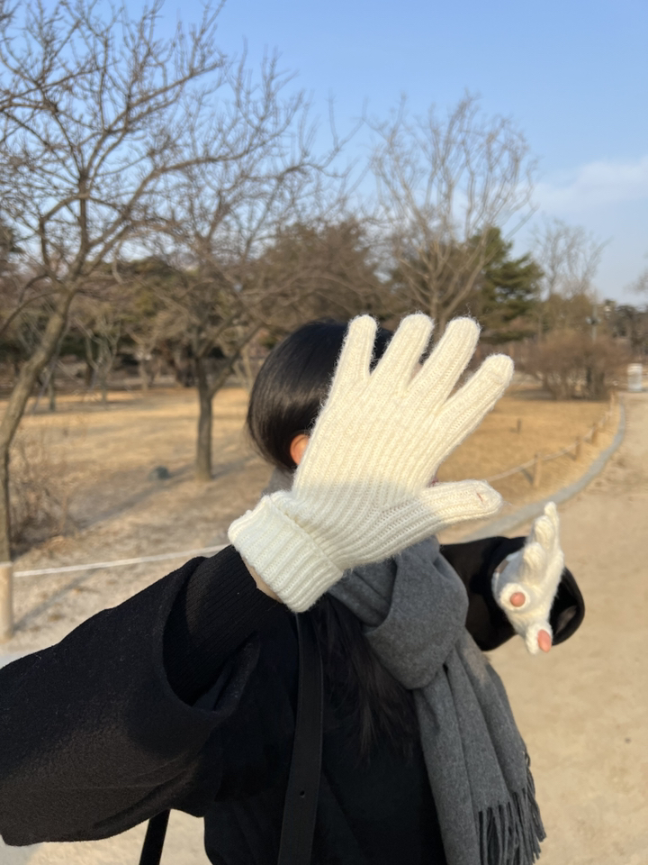CNS 스마트폰 터치 니트 장갑 2개 1세트