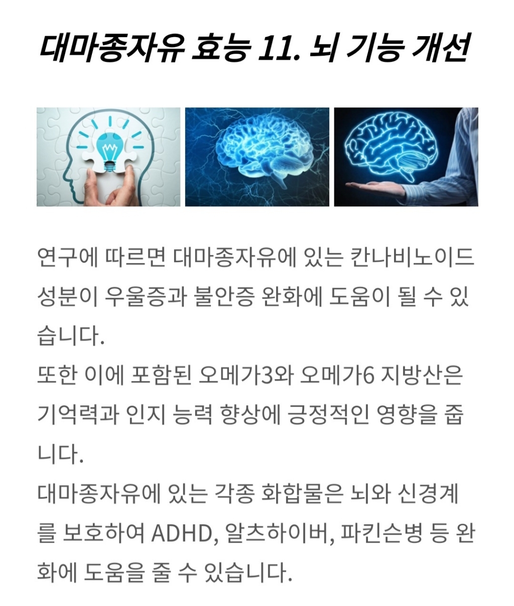 보령 리얼메디 대마종자유 햄프씨드 오일 캡슐 냉압착추출공법 압착대마종자유