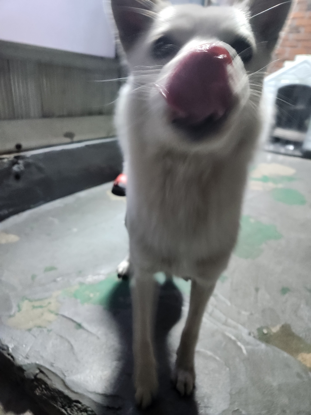 온방애 DIY 강력 단열 방풍비닐