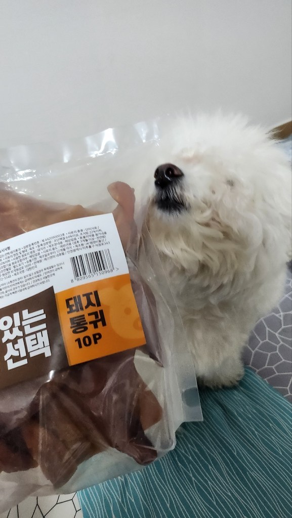 펫츠몬 실속있는선택 애견 수제간식