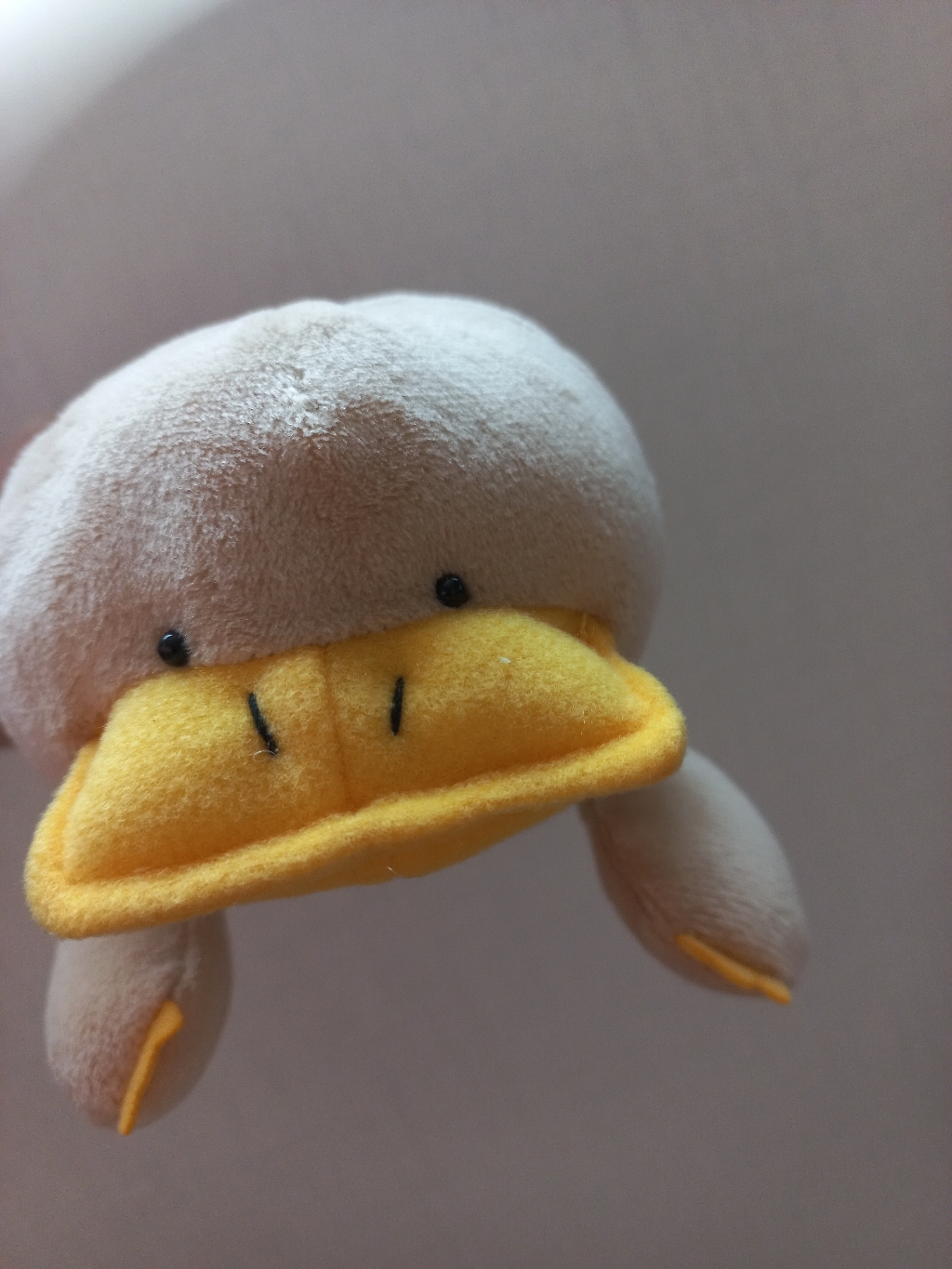 동물친구 필통