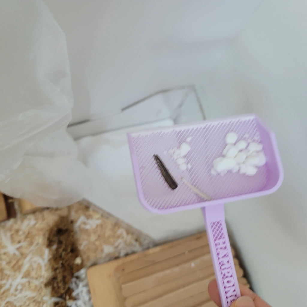 햄쿡 햄찌 햄스터 목욕모래 레몬