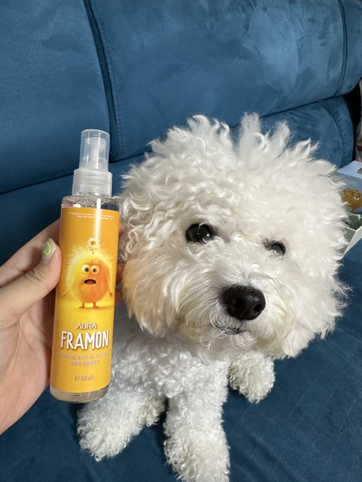 아우라 프라몬 섬유탈취제 탠저린샤워, 140ml, 1개