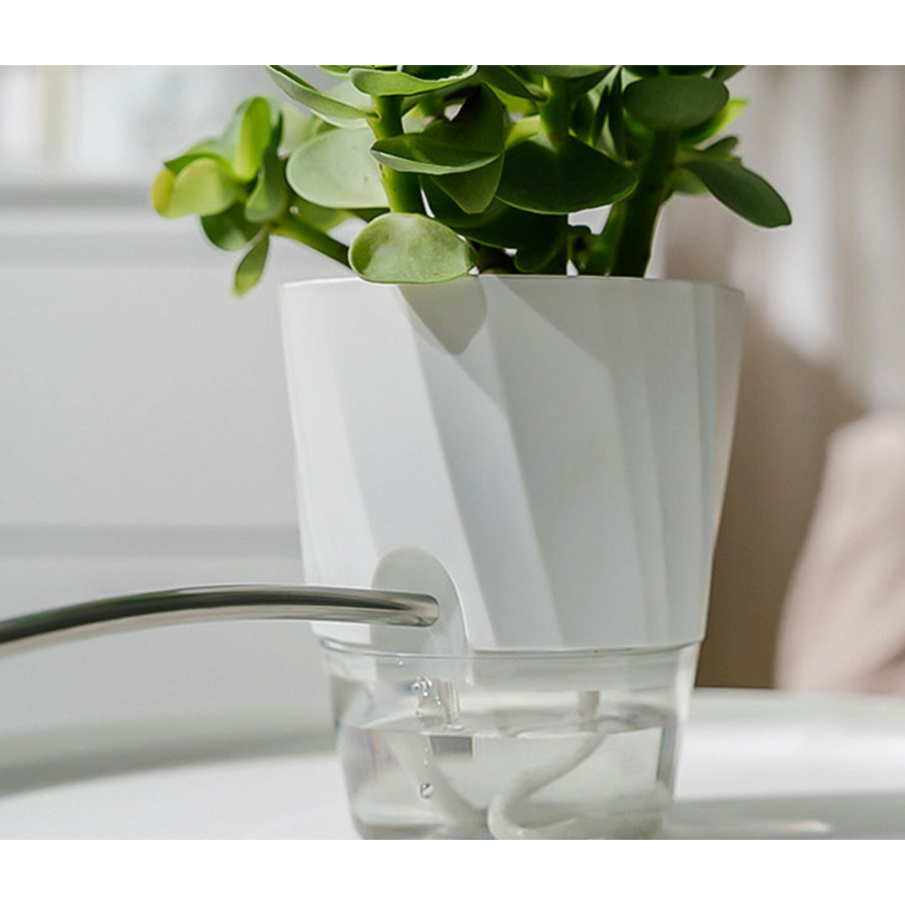 식물 키우기를 단순화하고 즐겁게 만드는 자동급수 플라스틱 화분