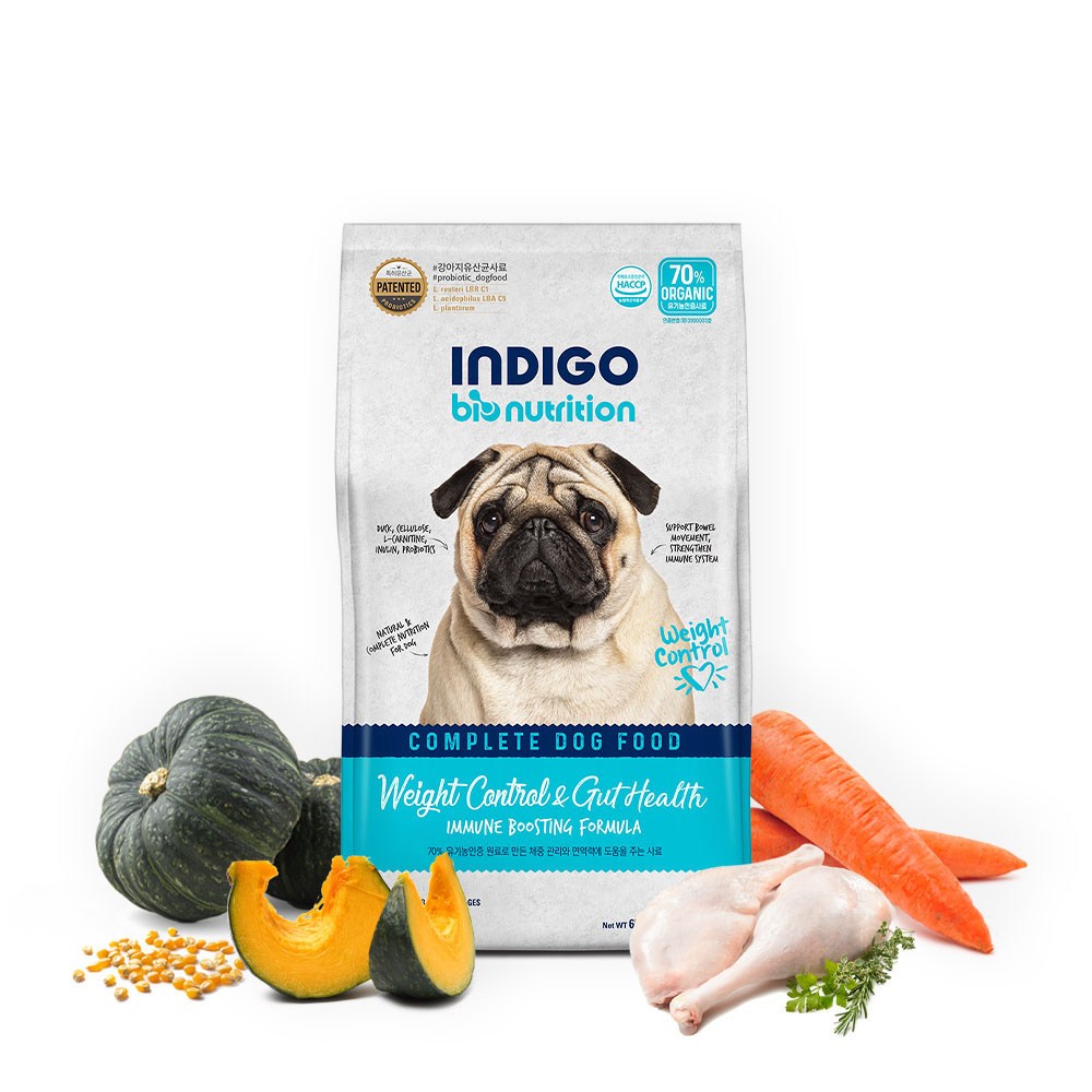 건강한 반려견을 위한 최적의 선택