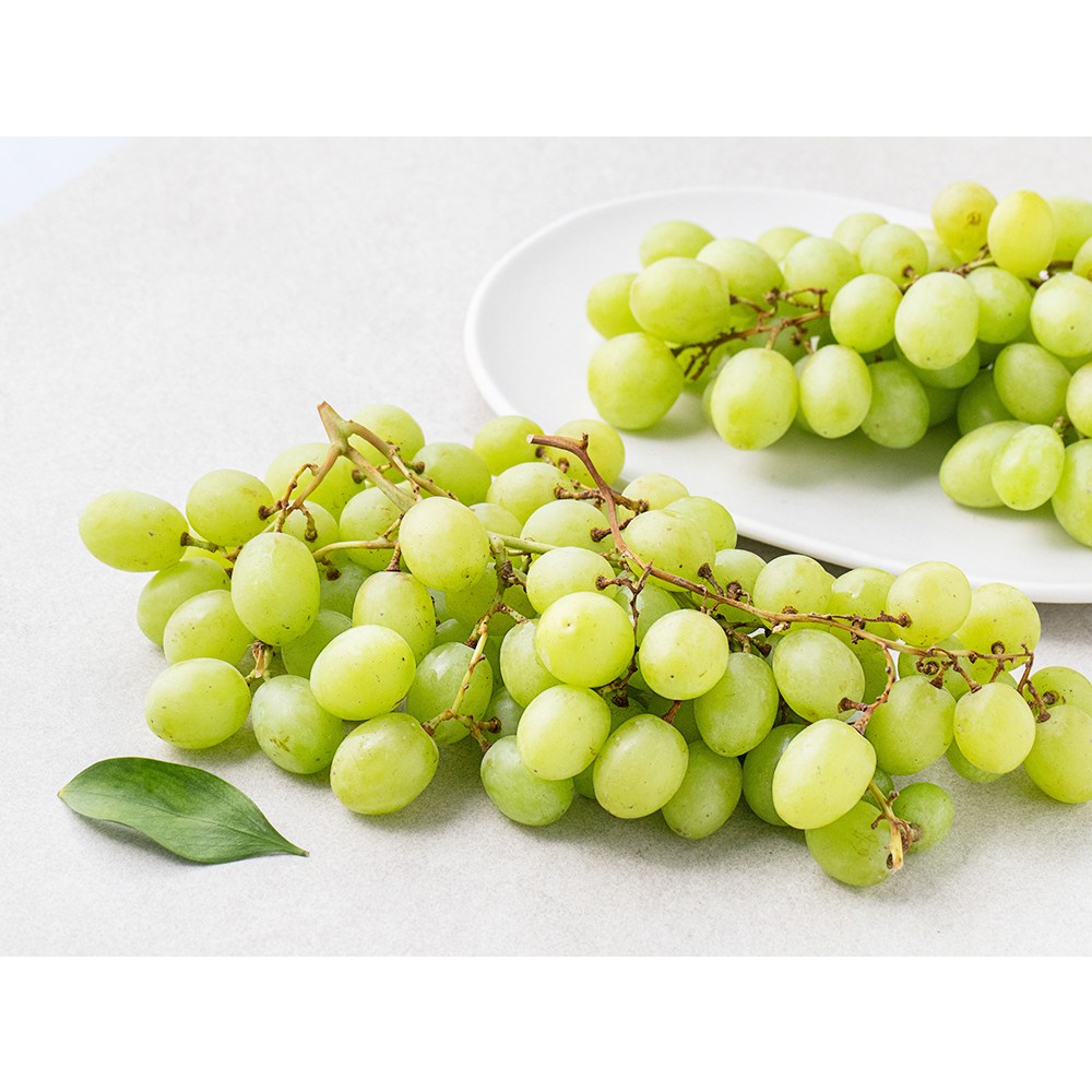 입안 가득 퍼지는 싱그러움, 만나다 미국산 씨없는 청포도!