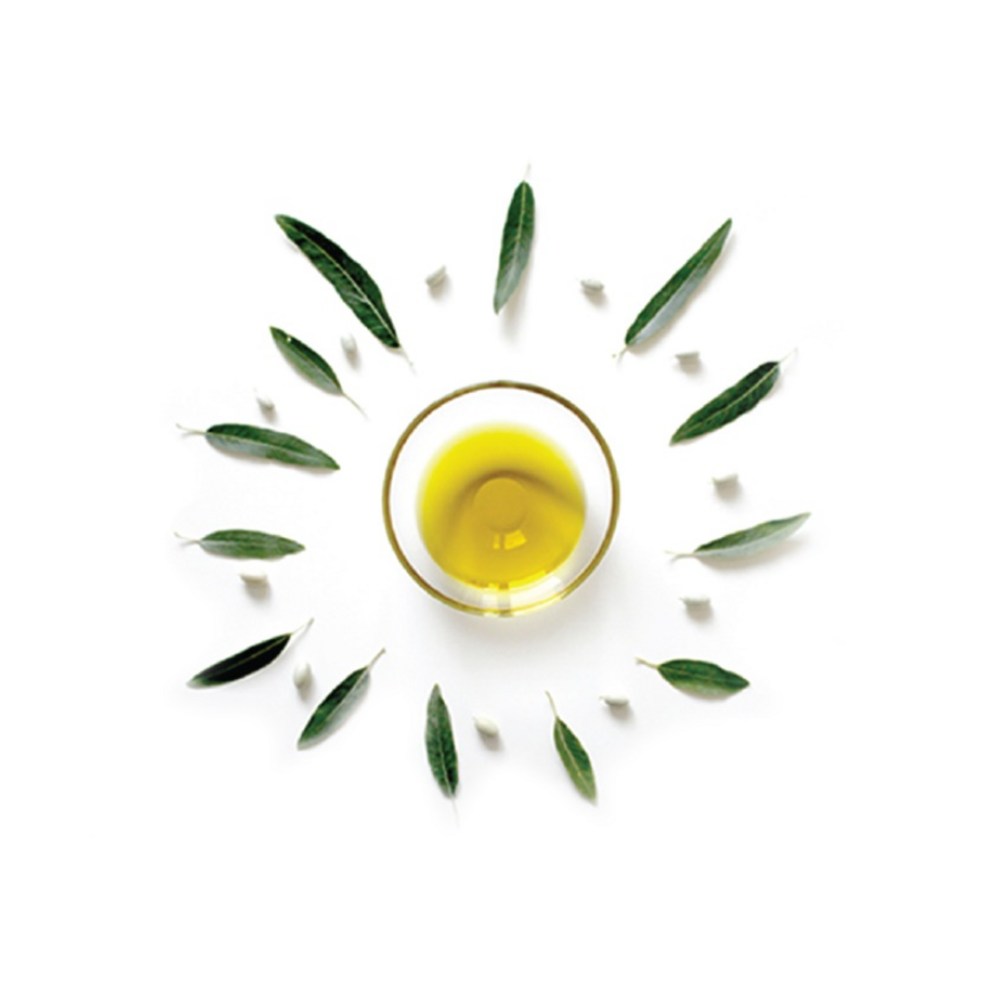 맛과 건강을 담은 올리브유