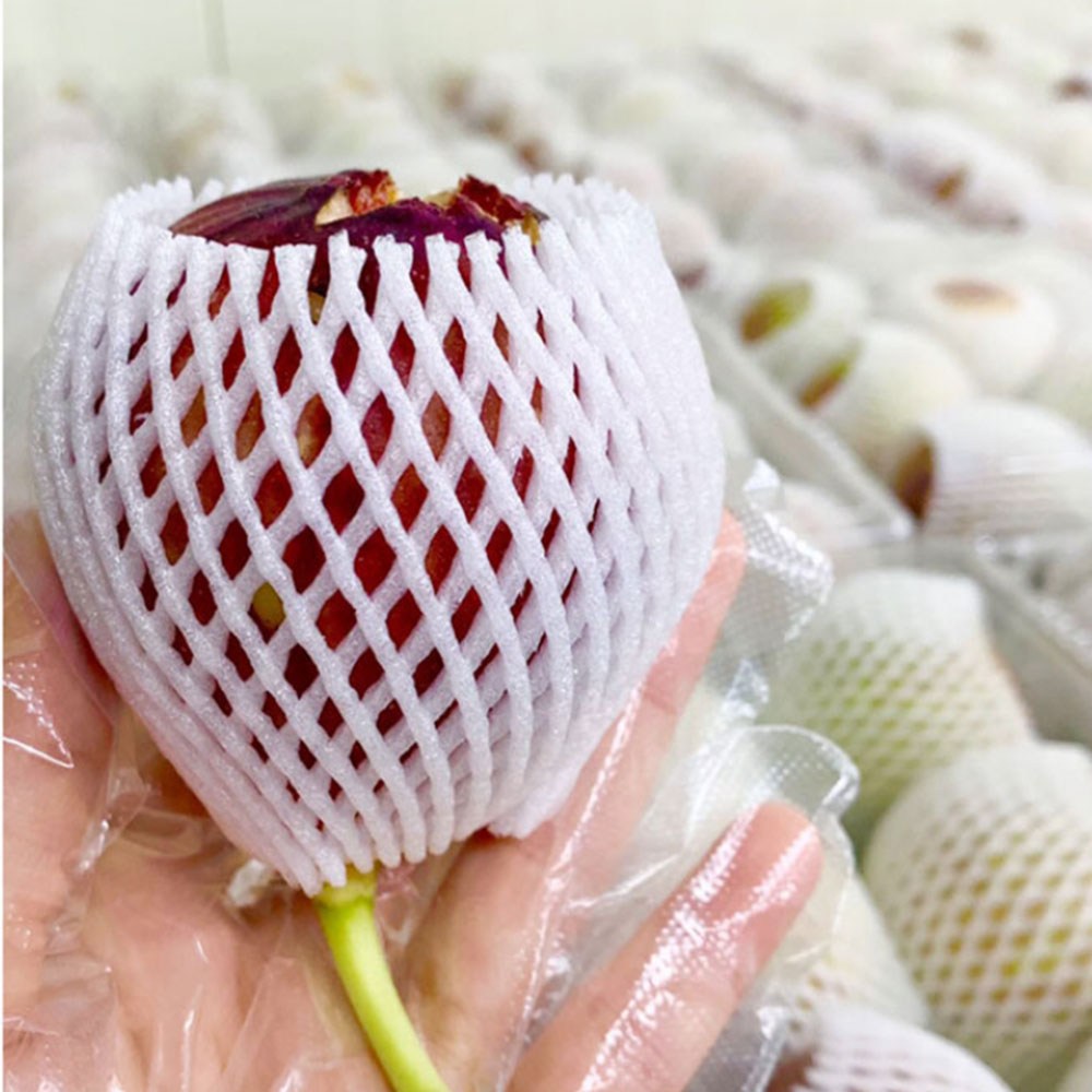 입안 가득 퍼지는 달콤함, 영암 무화과 산지 직송!