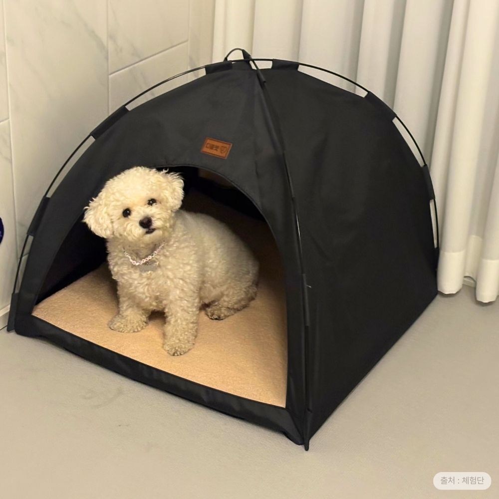 디클펫 텐트 하우스: 반려동물의 새로운 아지트 강아지텐트