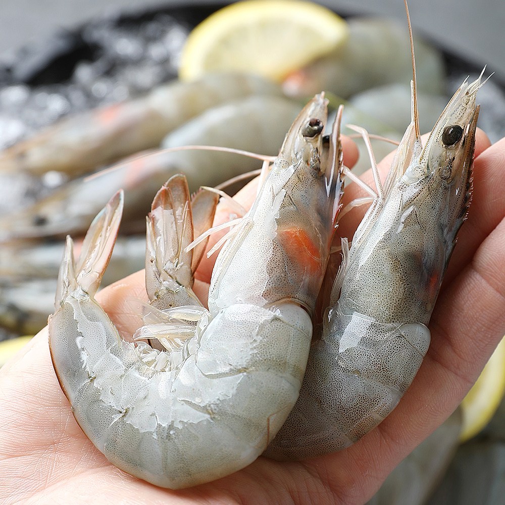 입안 가득 퍼지는 풍미, 물고기삼촌 흰다리 새우 대하 1kg 특별 할인!