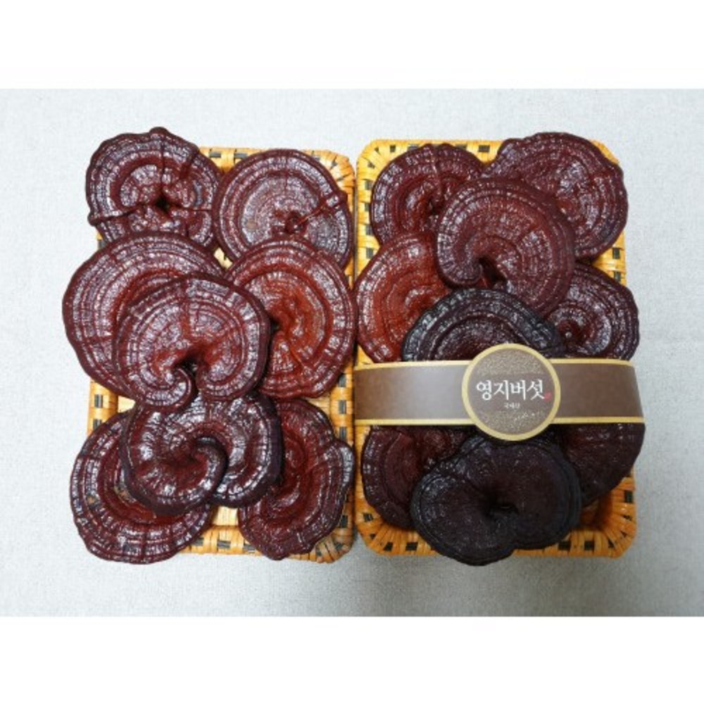 채울농산 영지버섯으로 건강과 품격을 선물하세요!